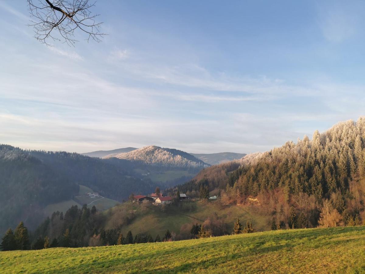 Villa Richterberg With Sauna & Hot Tub 斯洛文尼亚格拉代茨 外观 照片