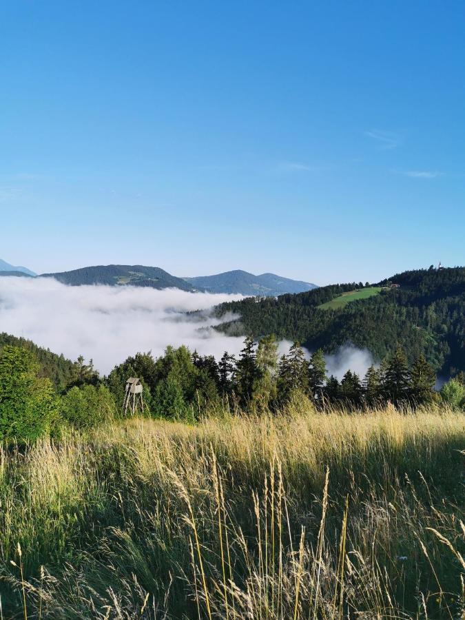 Villa Richterberg With Sauna & Hot Tub 斯洛文尼亚格拉代茨 外观 照片