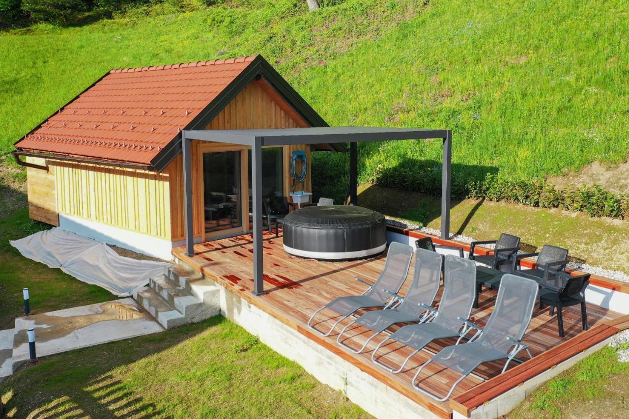 Villa Richterberg With Sauna & Hot Tub 斯洛文尼亚格拉代茨 外观 照片