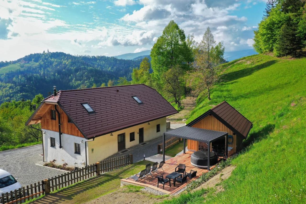 Villa Richterberg With Sauna & Hot Tub 斯洛文尼亚格拉代茨 外观 照片