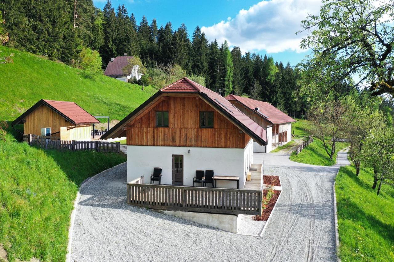 Villa Richterberg With Sauna & Hot Tub 斯洛文尼亚格拉代茨 外观 照片