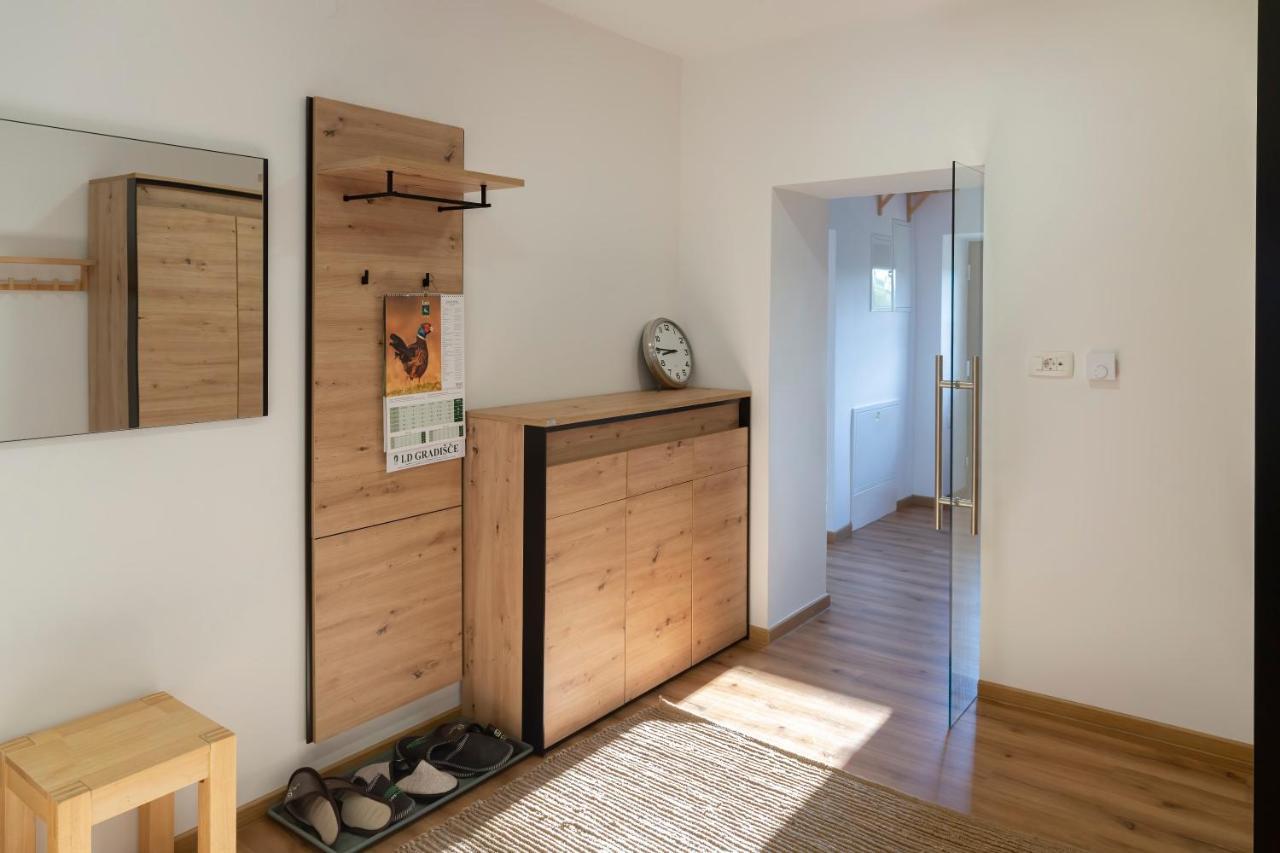 Villa Richterberg With Sauna & Hot Tub 斯洛文尼亚格拉代茨 外观 照片