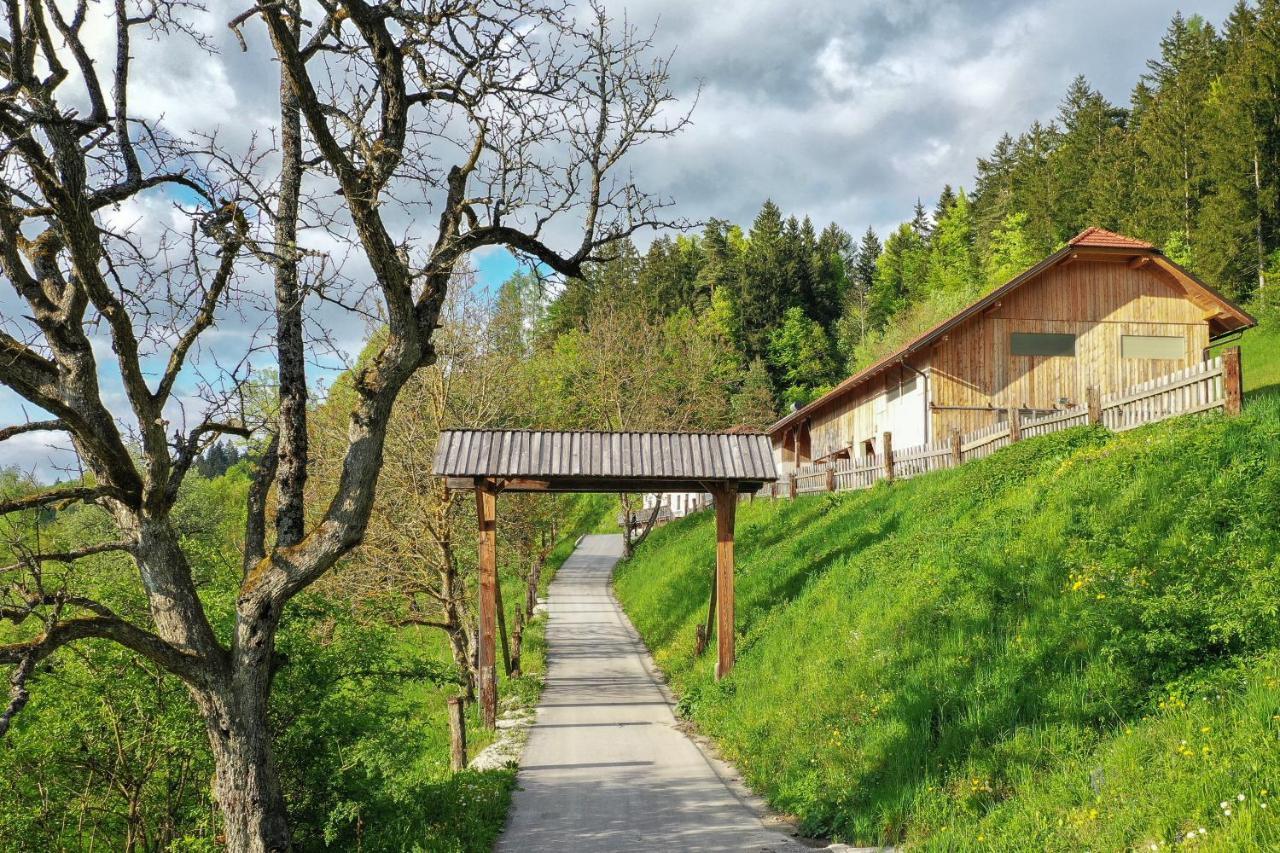 Villa Richterberg With Sauna & Hot Tub 斯洛文尼亚格拉代茨 外观 照片